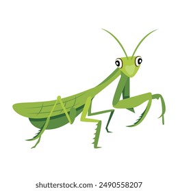 Collection of Cute Mantis Flat Icons 

