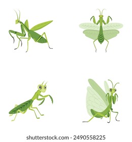 Collection of Cute Mantis Flat Icons 

