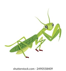 Collection of Cute Mantis Flat Icons 

