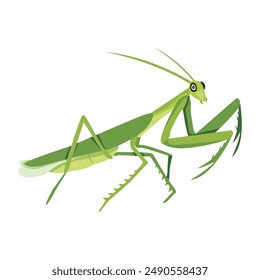 Kollektion von Cute Mantis Flat Icons 

