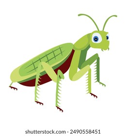 Colección de los iconos planos de Cute Mantis 


