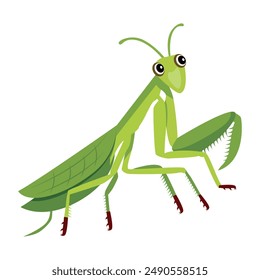 Collection of Cute Mantis Flat Icons 

