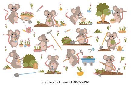 A collection of cute mice in various poses. Mouse gardeners plant plants, weed beds, watering seedlings, pruning bushes and trees, working in the garden. Set of cute animals. Vector illustration. 2020