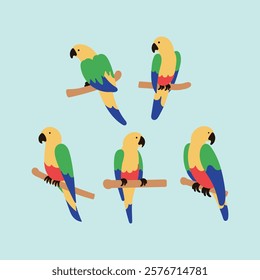 A collection of cute parrot illustrations in various poses