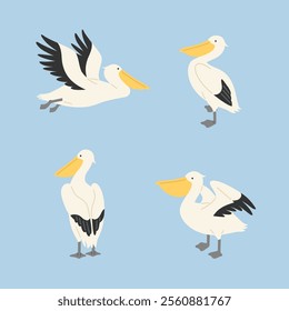 Collection of cute pelican characters