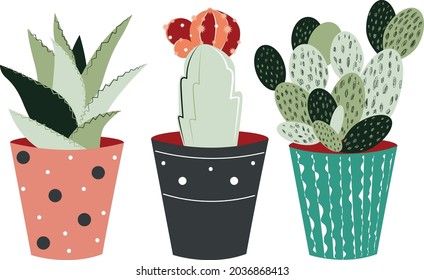 Collection of cute pots with cacti and succulents.  Trendy hand-drawn Scandinavian doodle style. Minimalistic  palette. 