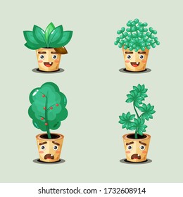 collection of cute potted plants