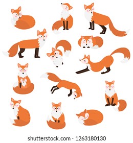 Collection of cute red foxes