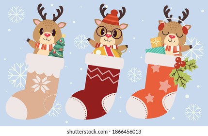 The collection of cute reindeer in the big sock with flat vector style. illustation about christmas and holiday for conten, graphic, greeting card.