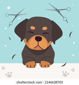 The collection of cute rottweiler dog with spa and salon theme in flat vector style. Graphic resource about pet grooming for graphic, content, banner, greeting card.