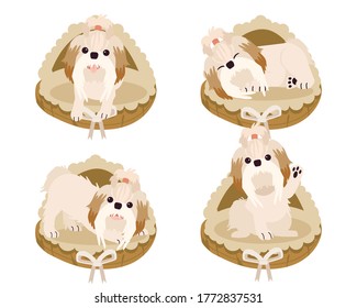 A collection of cute shih tzu on a mattress basket or dog bed in flat vector style. Graphic resource about set of dogs for graphic, content, etc.