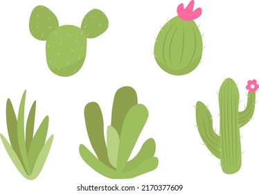 A collection of cute succulents and cacti. A set of exotic desert plants isolated on a white background.