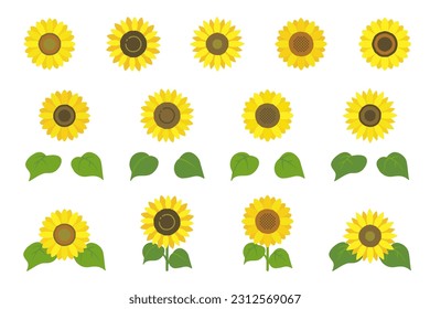 Collection of cute sunflower icons