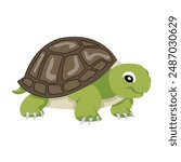 Collection of Cute Turtles Flat Icons 

