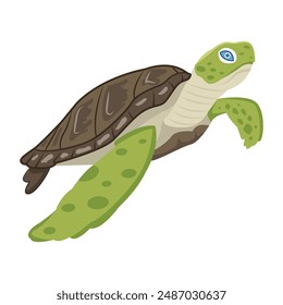 Collection of Cute Turtles Flat Icons 

