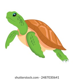 Collection of Cute Turtles Flat Icons 

