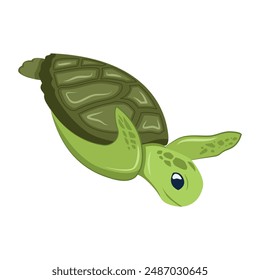 Collection of Cute Turtles Flat Icons 

