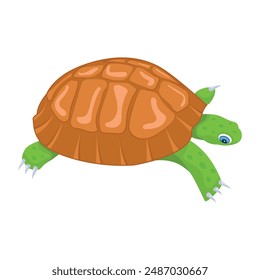 Collection of Cute Turtles Flat Icons 

