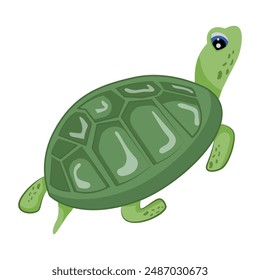 Collection of Cute Turtles Flat Icons 

