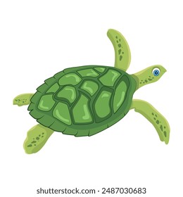 Collection of Cute Turtles Flat Icons 

