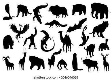 Collection of cute vector animals. Hand drawn silhouette animals which are common in Asia. Icon set isolated on a white background