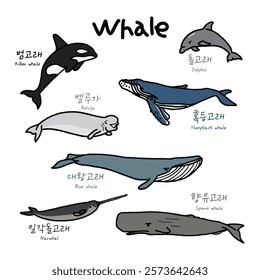 a collection of cute whale illustrations