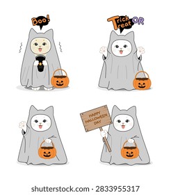 A collection cute white