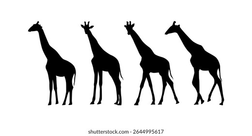 Collection cute wild animal isolated vector silhouettes