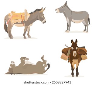 Coleção animal selvagem bonito. Ilustração vetorial conjunto de desenho animado Burro com sela e cesta isolada no fundo branco.