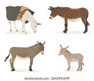 Coleção animal selvagem bonito. Ilustração vetorial conjunto de desenho animado engraçado Burro e bebê burro com sela e cesta isolada no fundo branco.