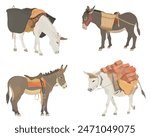 Collection cute wildlife animals. Vector illustration set of cartoon donkey with saddle, basket and bricks isolated on white background.