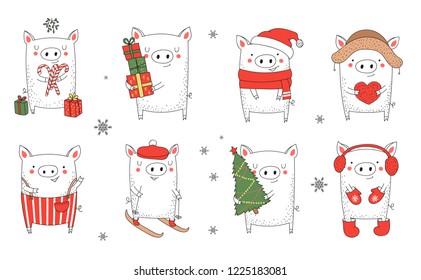 Collection of cute winter pigs. New 2019 year. Symbol of the year in the Chinese calendar. Vector cartoon isolated illustration. Year of yellow pig.