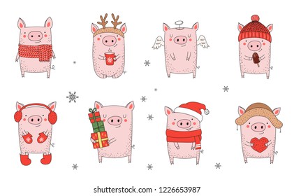 Collection of cute winter pigs. New 2019 year. Symbol of the year in the Chinese calendar. Vector cartoon isolated illustration. Year of yellow pig.