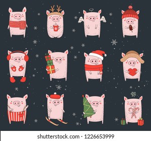 Collection of cute winter pigs. New 2019 year. Symbol of the year in the Chinese calendar. Vector cartoon isolated illustration. Year of yellow pig.