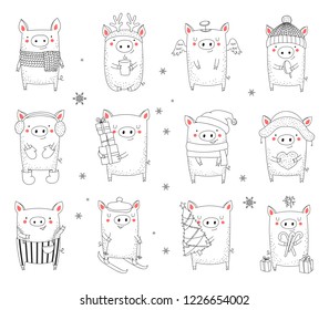 Collection of cute winter pigs. New 2019 year. Symbol of the year in the Chinese calendar. Vector cartoon isolated illustration. Year of yellow pig.