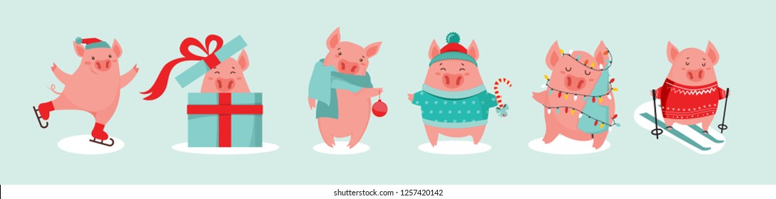 Collection of cute winter pigs. New 2019 year. Symbol of the year in the Chinese calendar. Vector cartoon isolated illustration. Year of yellow pig. - Vector