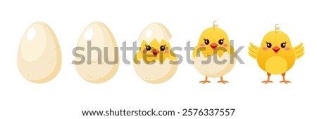 Collection of cute yellow chicken.  Cycle of a cute yellow chick, from egg to  chick with wings.