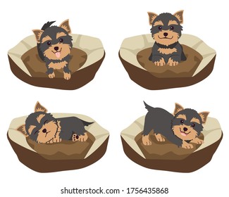 The collection of cute yorkshire terrier on the mattress or bed of dog in flat vector style. Graphic resource about set of dogs for graphic, content, etc.