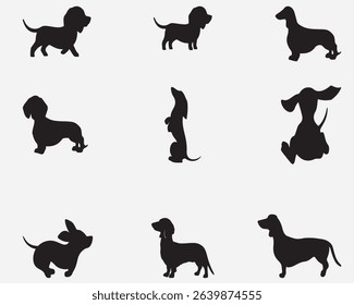 A collection of Dachshund Dog Silhouettes vector illustation