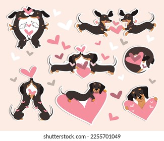 Collection dachshund dogs and hearts for valentine's day. Vector cartoon doodle illustration. Patch badges svg