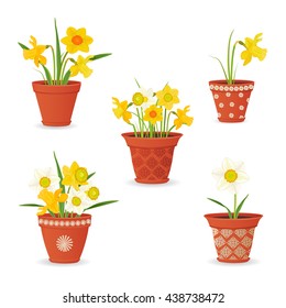 collection of daffodil planted in ceramic pots for your design
