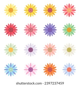 Collection of daisy or sunflower, camomile flower