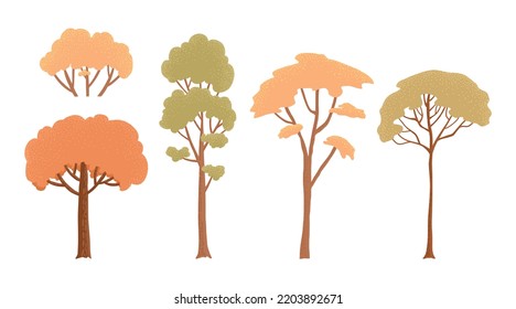 Collection of deciduous and evergreen forest plants isolated on white background. Botanical collection of bare trees and ones with leaves and lush crowns. Flat vector illustration on white background.