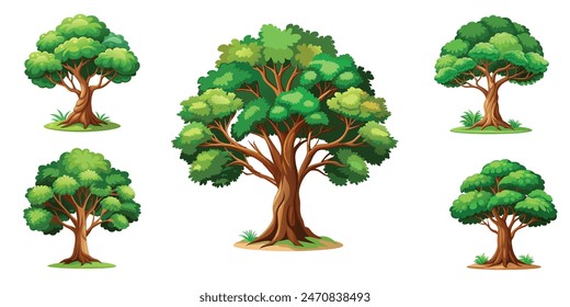 Collection of deciduous and evergreen forest plants isolated on white background. 