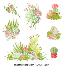 Collection of decorations with cacti and succulents, vector illustration for your design.