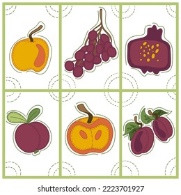 Collection of decorative abstract card and doodle elements about: fruits and vegetables,apple, grape, pomegranate, mangosteen, peach, plum. Vector illustration.