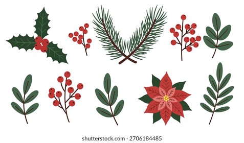 Eine Kollektion von dekorativen botanischen Elementen zu Weihnachten mit leuchtenden roten Beeren, grünen heiligen Blättern, Piniennadeln und einer roten Poinsettia-Blume.