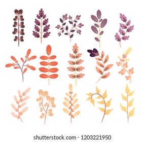 Collection of decorative colored branches and flowers of plants isolated on white background. Vector clipart.