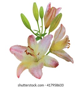 Collection of decorative design of flowers and leaves on white background. Vector floral set. Colorful pink floral collection with leaves and flowers.