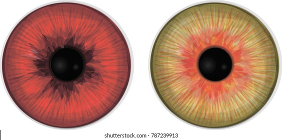 Collection of decorative eye iris. Halloween vector set